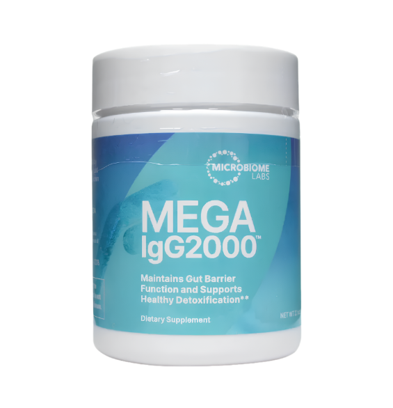 MegaIGG 2000