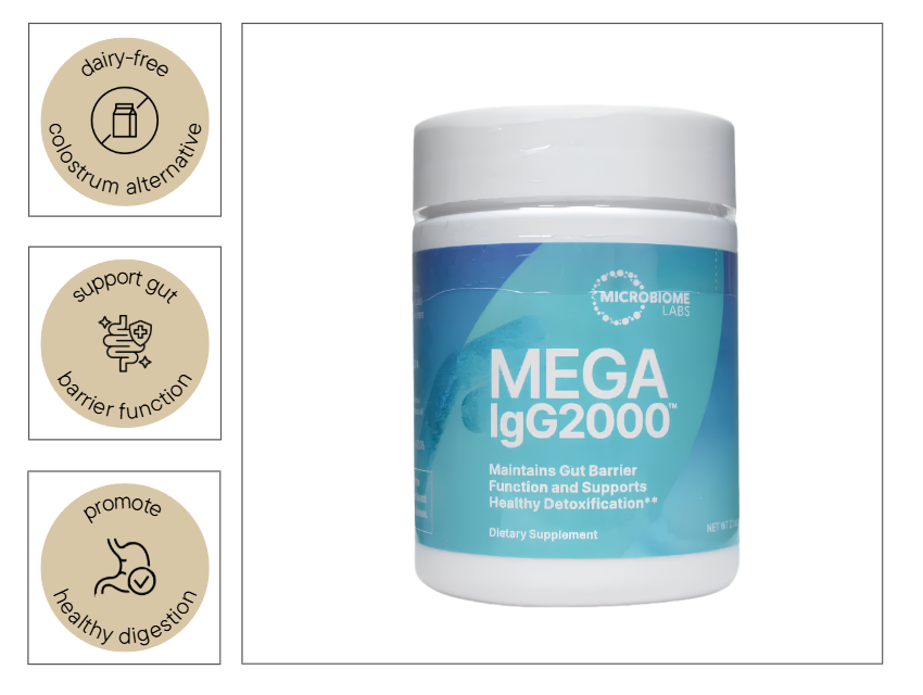 MegaIGG 2000