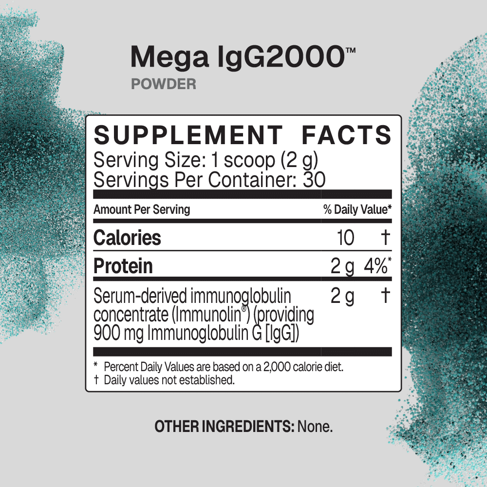 MegaIGG 2000